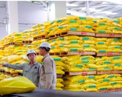Lộc Trời Group bất ngờ báo lỗ quý 1