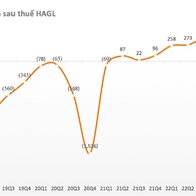 Hoàng Anh Gia Lai (HAGL) báo lãi 300 tỷ đồng trong quý 1, mỗi ngày thu 8 tỷ nhờ bán chuối