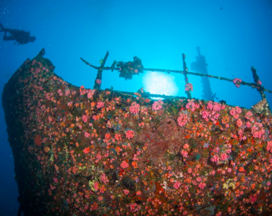 Hơn cả một kỳ nghỉ: Centara hé lộ những trải nghiệm văn hóa và thiên nhiên sống động tại Châu Á và Maldives