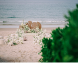 Radisson Blu Resort Cam Ranh – Nơi khởi đầu hạnh phúc với đám cưới trong mơ giữa vẻ đẹp của biển Việt Nam
