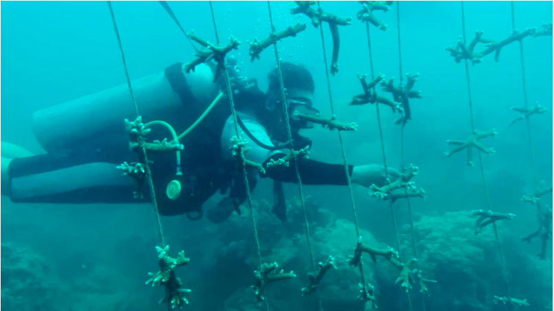 Khám phá thiên đường biển Nha Trang trên Du Thuyền