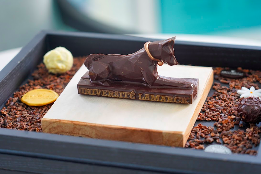 Không chỉ là khoảnh khắc nhận phòng: Nâng tầm trải nghiệm với những món quà gặp mặt khách hàng