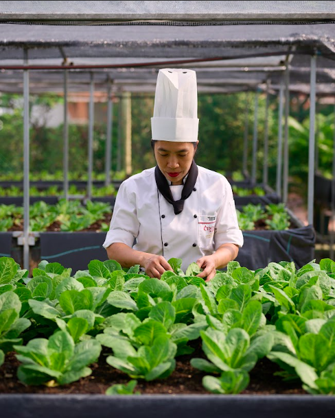 Hơn cả một kỳ nghỉ: Centara hé lộ những trải nghiệm văn hóa và thiên nhiên sống động tại Châu Á và Maldives